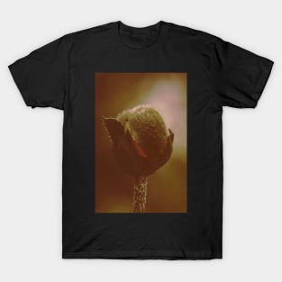 Poppy T-Shirt